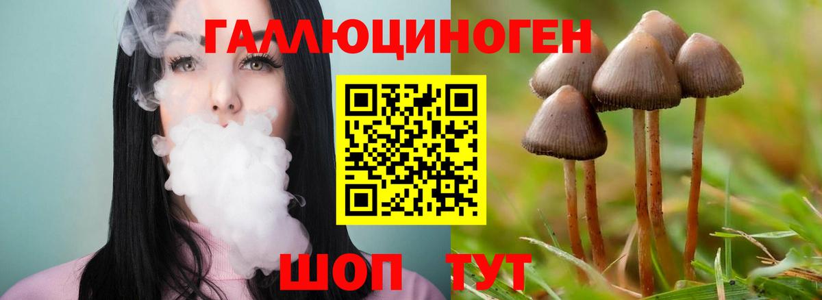Галлюциногенные грибы мицелий  наркотики  Галлюциногенные грибы мухоморы  Югорск  Вход с VPN 
